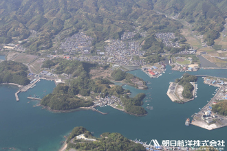 5925　高知県宿毛市池島　宿毛湾沿岸部の建物や道路に大きな被害は見当たらない