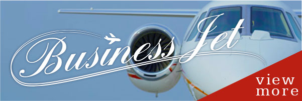 Busihess Jet