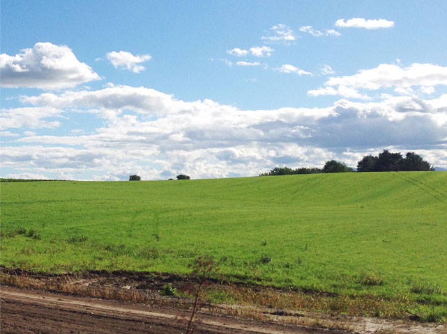 AGRICULTURAL RESOURCES MONITORING