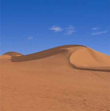 ENVIRONMENT