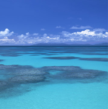 THE OCEAN