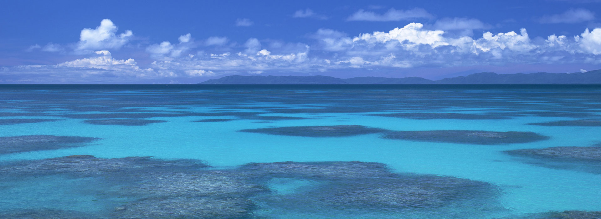 THE OCEAN